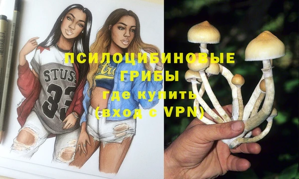 мдпв Няндома